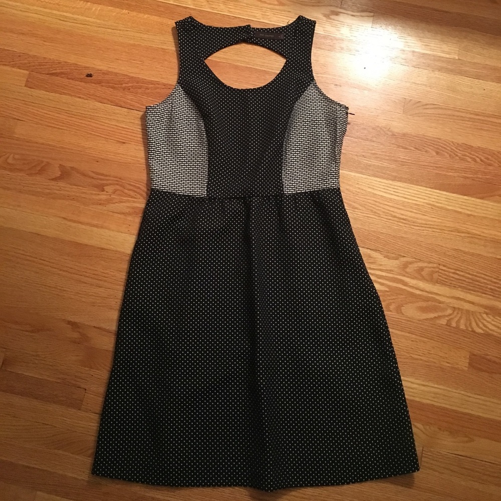 The Limited Black and White Dress